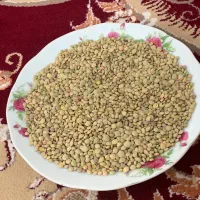 عدس ارگانیک