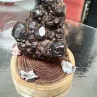 دکوری وکلکسیونی|کلکسیون اشیاء عتیقه|ماهدشت, |دیوار