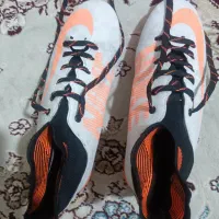 کفش نو|کیف، کفش، کمربند|اسفراین, |دیوار