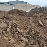 کودحیوانی گاوی وگوسفندی