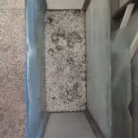 اکواریوم تعویض با دوتا گوپی، فایتر ، سنگ اکواریوم|ماهی|یزد, |دیوار