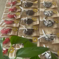 انواع کوکی پذیرایی و کافیشاپی