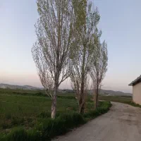 فروش-زمین-کشاورزی