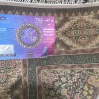 فرش ۱۲ متری|فرش|گرگان, |دیوار