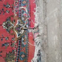 فرش|فرش|قم, تعویض پلاک|دیوار