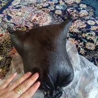 هیزه|ظروف نگهدارنده، پلاستیکی، یک‌بارمصرف|جوانرود, |دیوار