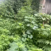 خانه ویلایی سیاهکل