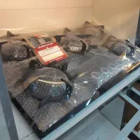 گاز صفحه ای شیشه ای دلاریس با ۵سال ضمانت قطعات|اجاق گاز و لوازم برقی پختوپز|شاهینشهر, شهرک گلدیس|دیوار