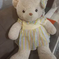 خرس بزرگ خارجی