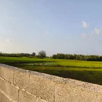 فروش زمین مسکونی|فروش زمین و ملک کلنگی|خمام, |دیوار