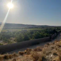 فروش یا معاوزه فوری باغ شهری