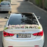 اجاره ماشین عروس کرایه رنت وای اف 2014قیمت مناسب