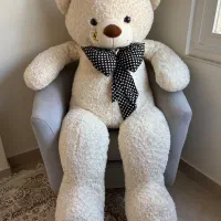 عروسک خرسی بزرگ ۲ متری