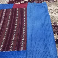 پتومسافرتی