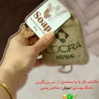 صابون|مواد شوینده و دستمال کاغذی|کوهدشت, |دیوار