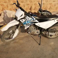 ترل250 نامی گلد