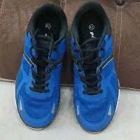 کفش|کیف، کفش، کمربند|کارون, |دیوار