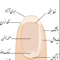 آموزش کاشت ناخن