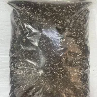 خاک تفاله قهوه گلدان|گل و گیاه طبیعی|مشهد, کوشش|دیوار