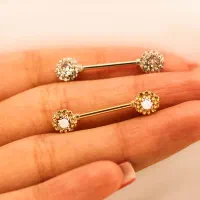 استخدام مدرس پیرسینگ فول بادی خانم(تدریس مجازی)