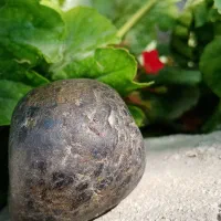 پالاسایت،|جواهرات|کبودرآهنگ, |دیوار