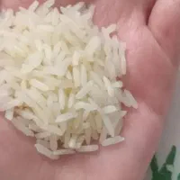 برنج هاشمی اعلا، صدری هاشمی،سرگل،گرگان،فجر|خوردنی و آشامیدنی|تهران, خاوران|دیوار