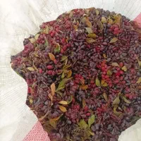 زرشک تازه