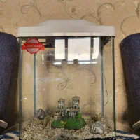 مینی آکواریوم