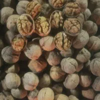 گردو درجه یک|خوردنی و آشامیدنی|فردیس, شهرک شهید حسینی|دیوار