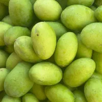 انبه بی هسته و هسته دار