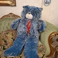 خرس شاسخین بزرگ خارجی
