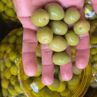 زیتون کنسروی