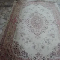 فرش و قالیچه|فرش|رشت, سعدی (تختی)|دیوار