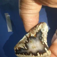 سنگ خام عقیق شجر