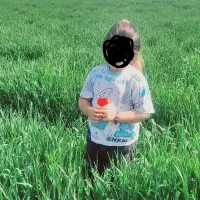 ۲هکتار زمین  روستای بهلکه شیخ موسی