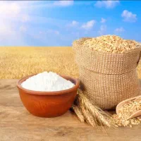 فروش ارد گندم کامل