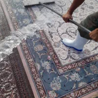 قالیشویی در گلستان نسیم شهر سبزدشت صالحیه وحومه|خدمات نظافت|نسیم‌شهر, |دیوار