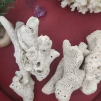 اکواریوم ستونی|ماهی|باغستان, |دیوار