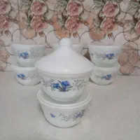 ۶دست بشقاب پلوخوری ارکوپال|ظروف سرو و پذیرایی|ری, شهادت|دیوار