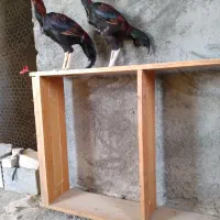 سلام چشمگیرباشه