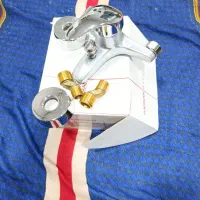 شیر حمام راسان