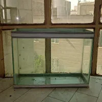 آکواریوم بزرگ