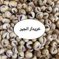 انجیر استهبان