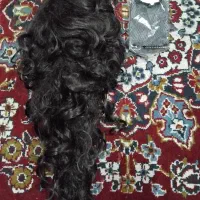 کلاه گیس نو به قیمت ۱/۶۹۵/۰۰۰