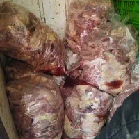 اسکلت مرغ حیوانی ۱۰ هزار