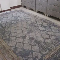 ۶ متری