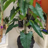 درختچه مصنوعی فروش با چک کارمندی|گل مصنوعی|اردبیل, |دیوار