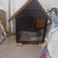 خانه چوبی سگ .کبوتر.گربه|لوازم جانبی حیوانات|کرمان, |دیوار