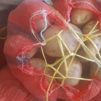 سیب زمینی ۳۵۰ کیلو|خوردنی و آشامیدنی|دهگلان, |دیوار