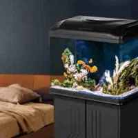 انواع آکواریوم شرکتی دلسا به قیمت کارخانه|ماهی|مشهد, بهاران|دیوار